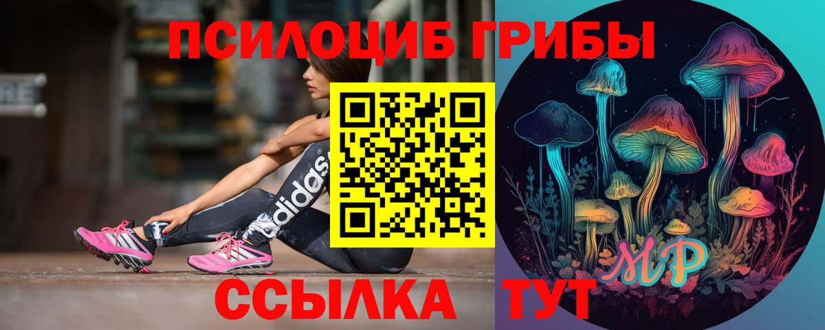 Рубцовск  Галлюциногенные грибы Psilocybe  Вход с VPN 